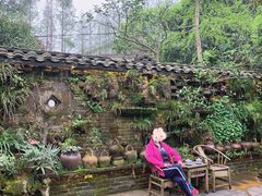 -青城甲(青城山店)