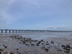 -宝安西湾红树林湿地公园