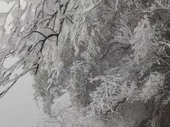 -萍乡武功山风景名胜区