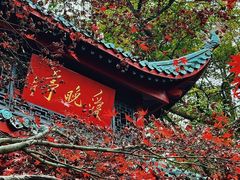 -岳麓山风景名胜区