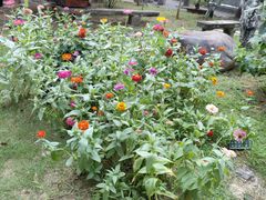 -不倒翁·徽天下名菜楼(马鞍山路店)