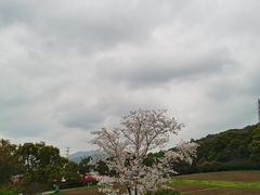 -无锡梅园公园