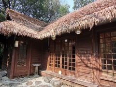 -中国茶叶博物馆(双峰馆区)