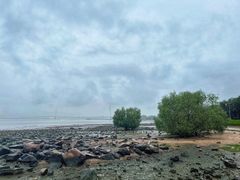 -深圳湾公园(南山区)