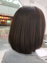 -YESIDO椰岛造型