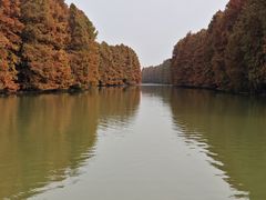 -上海海湾国家森林公园