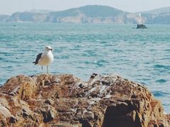 -海驴岛(荣成市)