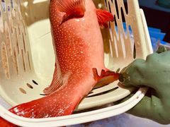 -万宝海鲜舫(劳动公园店)