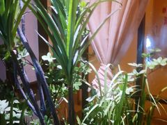 -三一行馆·日式禅意SPA足道·高空观景(解放碑店)