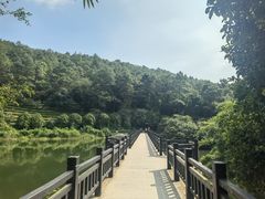 -九龙潭景区
