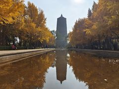 -玲珑塔公园