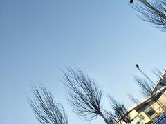 -哈尔滨师范大学(松北校区)