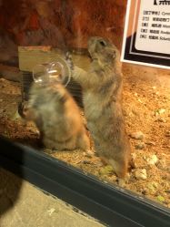 -酷嗒动物文化乐园(cutezoo西溪乐天城店)