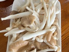 -15年老字号鑫鑫猪肚鸡·椰子鸡海南火锅(兴隆华侨农场店)