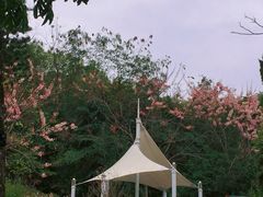 -深圳国际园林花卉博览园