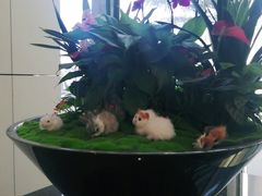 -京基滨河时代广场