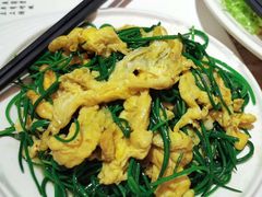 -新粤新疆菜清真餐厅(拱北店)