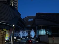 -港汇恒隆广场