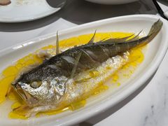 -锦顺海鲜•口味菜(李村店)