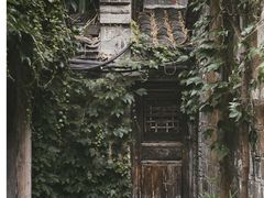 -乌镇景区