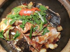 -大榕树下顺德菜(融创茂店)