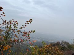 -香山公园