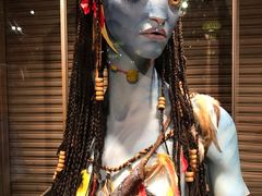 -奥兰多迪士尼动物王国乐园