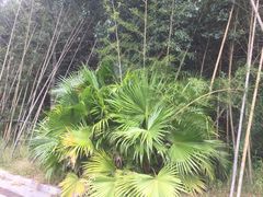 -汇雅温泉
