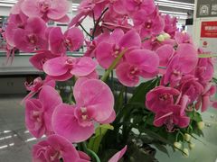 -时尚mego商业广场