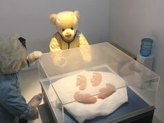 -成都泰迪熊博物馆