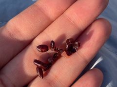 -茶百道(金科乐方店)