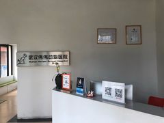 -伟伟宠物医院·瑞派猫友好医院·猫科(光谷店)