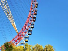 -哈尔滨文化公园