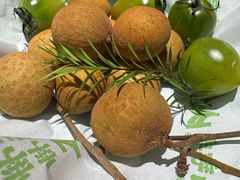 -季季山·云南野生菌火锅(上海首店)