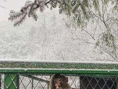 -藏龙百瀑风景区