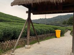 -听风阁农家私房菜茶楼(龙坞店)
