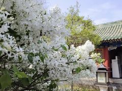 -恭王府博物馆