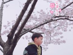 -新江湾城公园