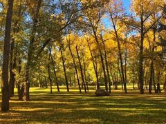 -帽儿山国家森林公园