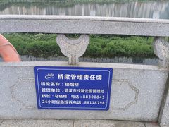 -沙湖公园