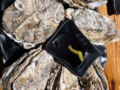 -烧蠔帮·生蚝海鲜牌档(观海店)