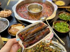 -肥龙火锅(南坪店)