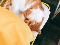 -五进制 Coffee Shop