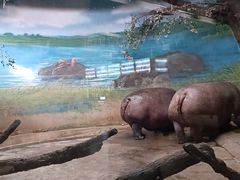 -北京动物园-畅观楼