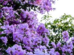 -杭州城北体育公园