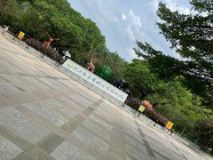 -广东茂名森林公园