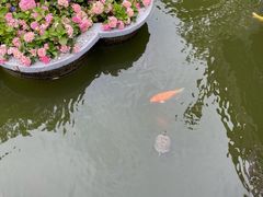 -新世界大丸百货