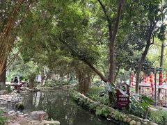 -成都市活水公园