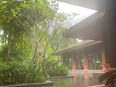 -西双版纳洲际度假酒店兰吧