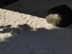 -T館·花园艺术餐厅
